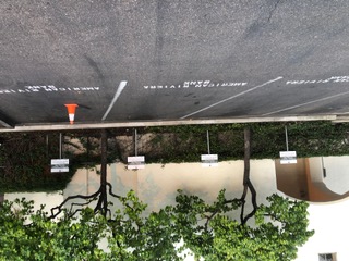 Parking Signs